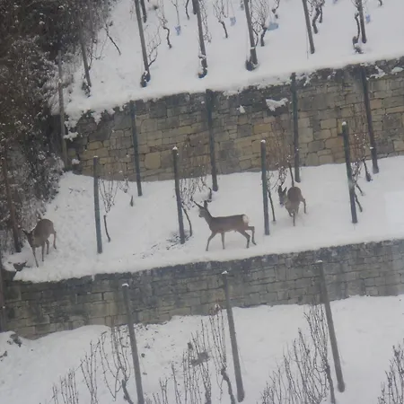 Weingut Schulze فرايبورغ