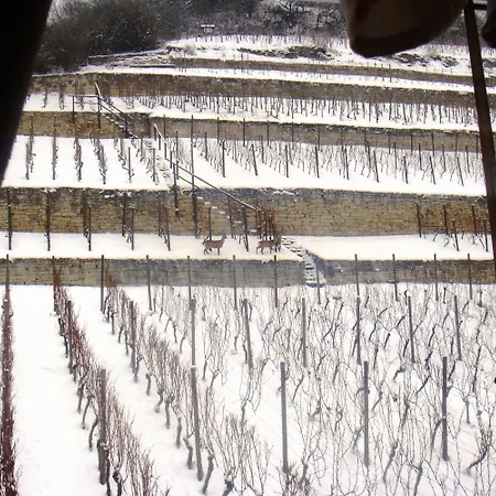 Hotel Weingut Schulze