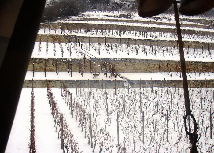 Отель Weingut Schulze